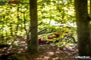 50.-nibelungenring-rallye-2017-rallyelive.com-0715.jpg